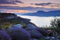 Okanagan lake at sunrise Royalty Free Stock Photo