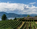 Okanagan Valley, Canada - August 04, 2018: vineyard located on the shore of Okanagan Lake in British Columbia Canada.