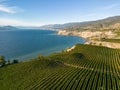 Okanagan Valley Winery Vineyard British Columbia Royalty Free Stock Photo