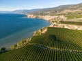 Okanagan Valley Winery Vineyard British Columbia