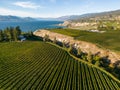 Okanagan Valley Winery Vineyard British Columbia Royalty Free Stock Photo