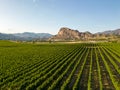 Okanagan Valley Winery Vineyard British Columbia