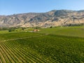 Okanagan Valley Winery Vineyard British Columbia Royalty Free Stock Photo