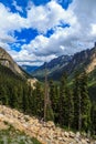 Okanogan national forest