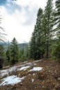 Okanogan-Wenatchee National Forest Royalty Free Stock Photo