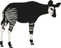 Okapi