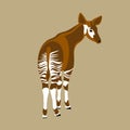 Okapi vector illustration style Flat Royalty Free Stock Photo