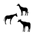 Okapi vector silhouettes