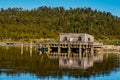 Okarito Lagoon is NZ\'s largest unmodified wetland. A coastal lagoon lined by the snow capped southern alps and the home