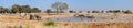 Okaukeujo waterhole panorama 2 Royalty Free Stock Photo