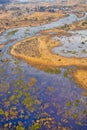 Okavango Delta Royalty Free Stock Photo