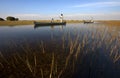 Okavango Delta - Botswana Royalty Free Stock Photo