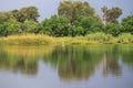 Okavango delta landscape, dugout canoe trip, botswana, africa Royalty Free Stock Photo