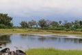 Guided okavango trip, dugout canoe, botswana, africa