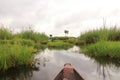 Okavango delta landscape, dugout canoe trip, botswana, africa Royalty Free Stock Photo