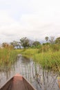 Okavango delta landscape, dugout canoe trip, botswana, africa Royalty Free Stock Photo