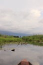 Okavango delta landscape, dugout canoe trip, botswana, africa Royalty Free Stock Photo