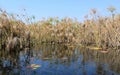 Okavango Delta water and Royalty Free Stock Photo