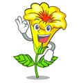 Okay allamanda flowers stick to character stem Royalty Free Stock Photo