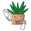 Okay character small zebra cactus plant on pot