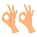 Okay gesture, agree or perfect symbol