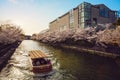 Okazaki Canal with cherry blossom in kyoto, japan at dusk Royalty Free Stock Photo