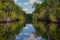 Scenic View of Okefenokee National Park in Georgia