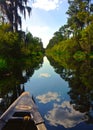 Okefenokee Swamp