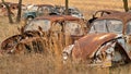 OKEMAH, OK - 2 MAR 2020: Volkswagon Beetle cars located in a field