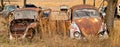 OKEMAH, OK - 2 MAR 2020: Volkswagon car cemetery located in a field
