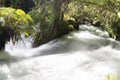 Okere Falls, Rotoiti Royalty Free Stock Photo