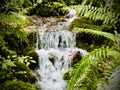 The Okere Falls, Rotorua, New Zealand. Royalty Free Stock Photo