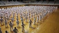 Okinawa, Japan - july 11, 2012: IOGKF World Budo sai. Group of people practicing karate kata.