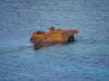 A broken stranded ship along Iguana Rock in Irabujima island, Okinawa