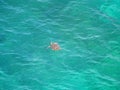 A sea turtle breathing on the surface of the water in Miyakojima island, Okinawa, Japan Royalty Free Stock Photo