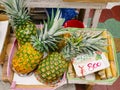 OKINAWA, JAPAN - SEP 1, 2019 : Okinawa Pineapples and Cane Local fruit and vegetable shop sell Market Royalty Free Stock Photo