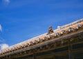 Okinawa Lion on Ryukyu architecture Roof Art Blue sky background Okinawa island Japan