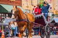 Horsecar walking in Cowboy Christmas Parade