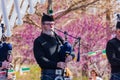 Scottish musical performance during the St. Patrick's Day event in Myriad Botanical Gardens