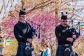 Scottish musical performance during the St. Patrick's Day event in Myriad Botanical Gardens