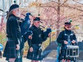 Scottish musical performance during the St. Patrick\'s Day event in Myriad Botanical Gardens