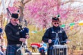 Scottish musical performance during the St. Patrick\'s Day event in Myriad Botanical Gardens