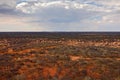 Okonjima Nature Reserve, desert savannah in Namibia landscape. Dry forest with storm grey clouds in Africa. Travelling in Namibia