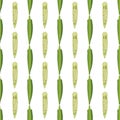 Okra, ochro, ladies fingers. Seamless Patterns