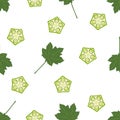 Okra, ochro, ladies fingers. Seamless Patterns Royalty Free Stock Photo