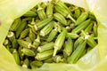 Okra fruit in the hand of a cook, a large amount of fresh okra Royalty Free Stock Photo