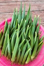 Okra fruit Royalty Free Stock Photo