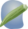 Okra illustration Royalty Free Stock Photo