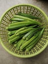 Okra or Okro, Abelmoschus esculentus, known in many English-speaking countries as ladies\' fingers or ochro Royalty Free Stock Photo