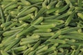 Okra stock